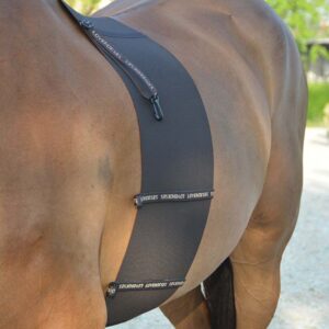 Love Horses Body Bandage Side Profile