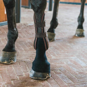 Kentucky Horsewear Tendon Grip Gel Sock Black