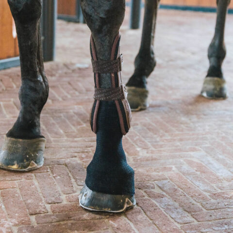 Kentucky Horsewear Tendon Grip Gel Sock Black