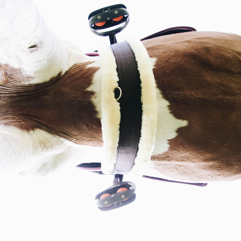 Kentucky Sheepskin Elasticated Girth 3 Kentucky Sheepskin Elasticated Girth - Image 3