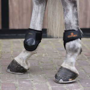 Young Horse Fetlock Boots Black Old1