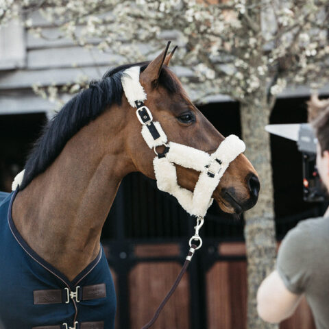 Kentucky Horsewear Sheepskin Headcollar Natural 2