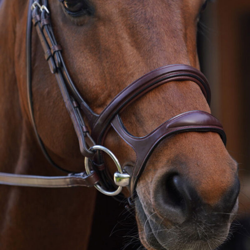 Dy'on New English Collection Double Noseband Bridle 1 Dy'on New English Collection Double Noseband Brown 1