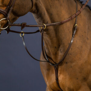 Dy'on Collection Running Martingale