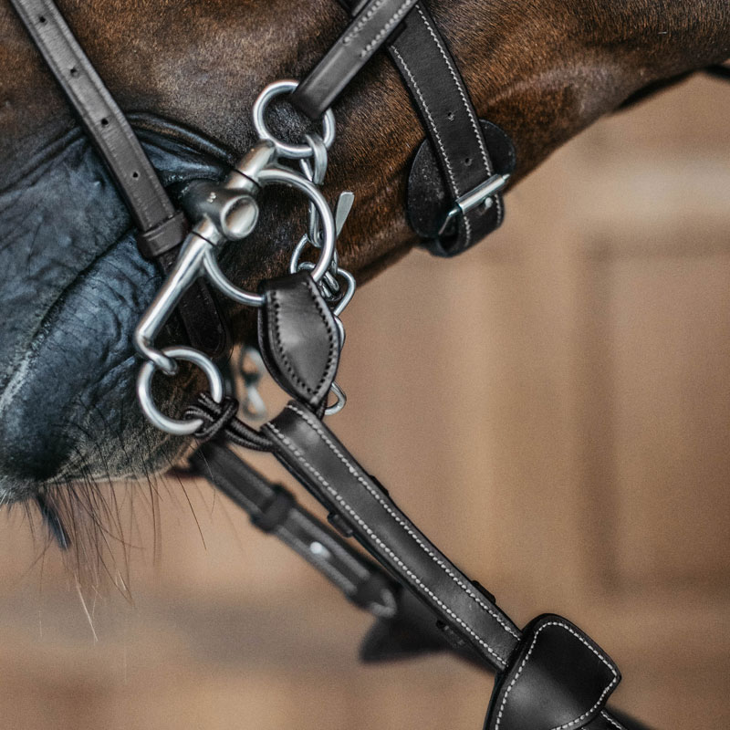 Dy'on Leather and Rope Pelham Roundings - Short 2 Dy'on Leather and Rope Pelham Roundings - Short - Image 2