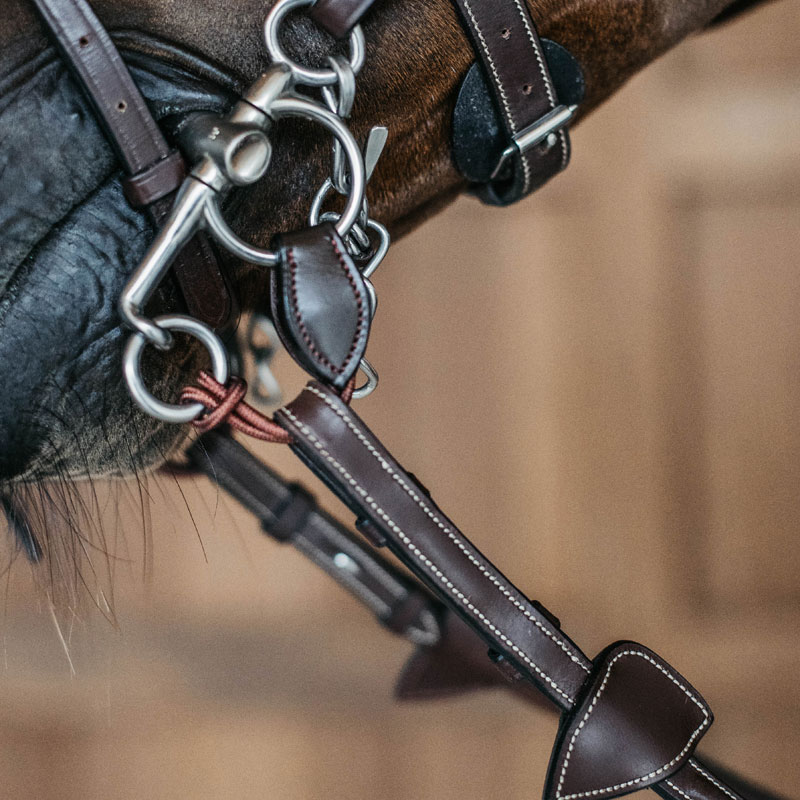 Dy'on Leather and Rope Pelham Roundings - Short 1 Dy'on Leather and Rope Pelham Roundings Brown Short