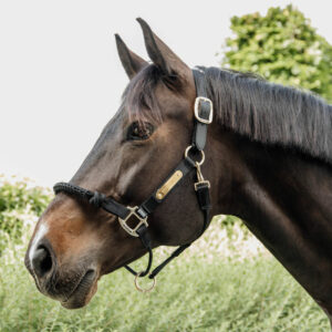 Kentucky Horsewear Controller Head Collar