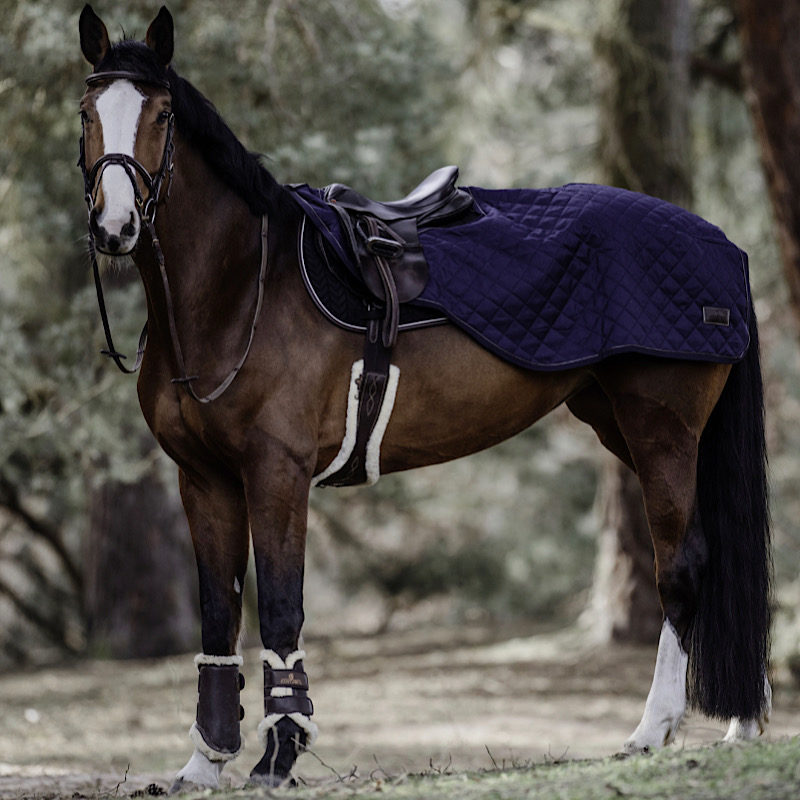 Kentucky Horsewear Riding Rug - Image 6