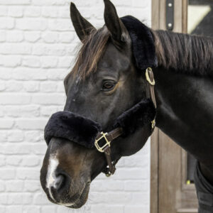 Kentucky Horsewear Sheepskin Head Collar Set