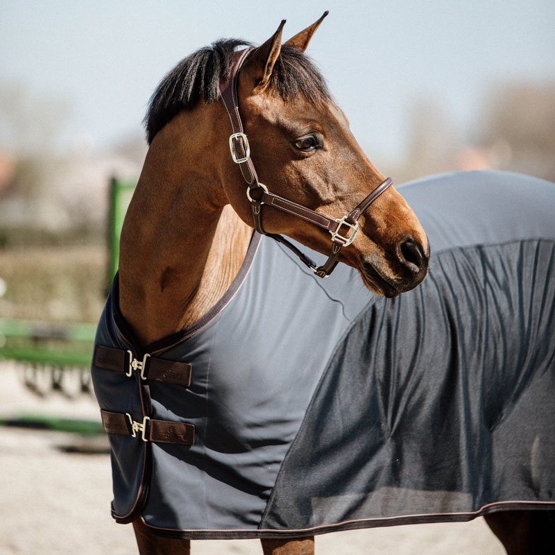 Kentucky Horsewear Cooler Sheet Softshell 1 Kentucky Horsewear Cooler Sheet Softshell