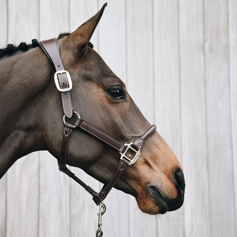 Kentucky Horsewear Anatomic Leather Head Collar 1 Kentucky Horsewear Anatomic Leather Head Collar