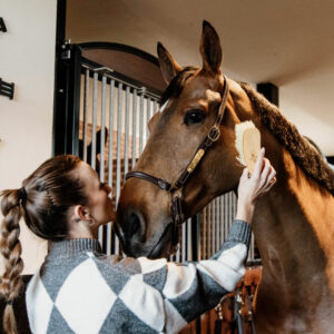 Grooming Head Collar 1