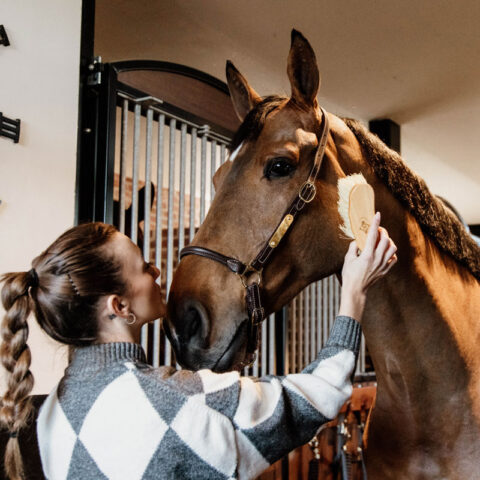 Grooming Head Collar 1
