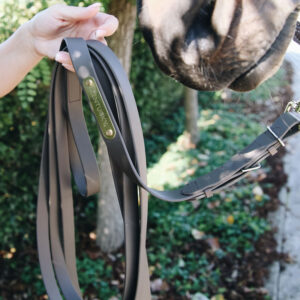 42530-05-04 Kentucky Horsewear Stallion Lead