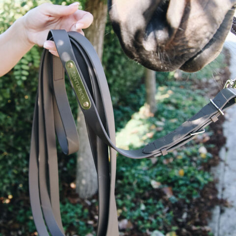 42530-05-04 Kentucky Horsewear Stallion Lead