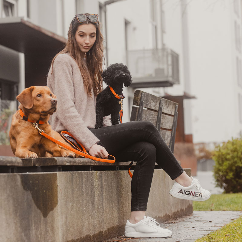 Kentucky Dogwear Plaited Dog Leads 120cm 5 Kentucky Dogwear Plaited Dog Leads 120cm - Image 5