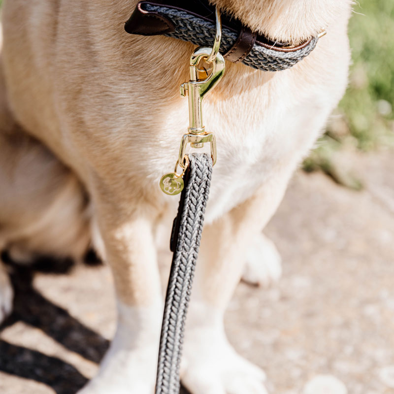 Kentucky Dogwear Plaited Dog Leads 120cm 12 Kentucky Dogwear Plaited Dog Leads 120cm - Image 12