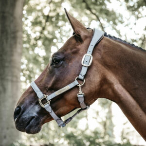 Anatomic Suede Head Collar Grey 2