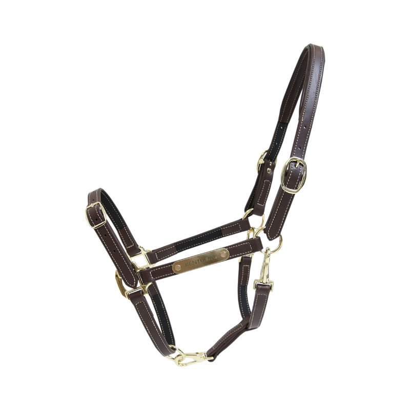 Kentucky Horsewear Flexible Leather Head Collar - Image 4