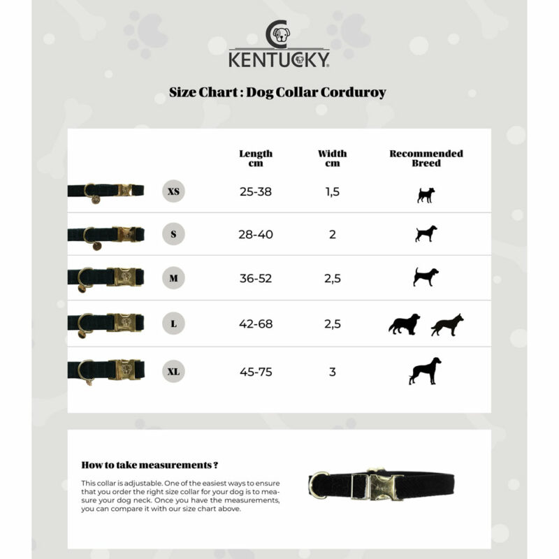 Kentucky Dogwear Corduroy Dog Collar - Image 6