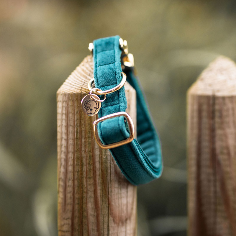 Kentucky Dogwear Velvet Dog Collars 2 Kentucky Dogwear Velvet Dog Collars - Image 2