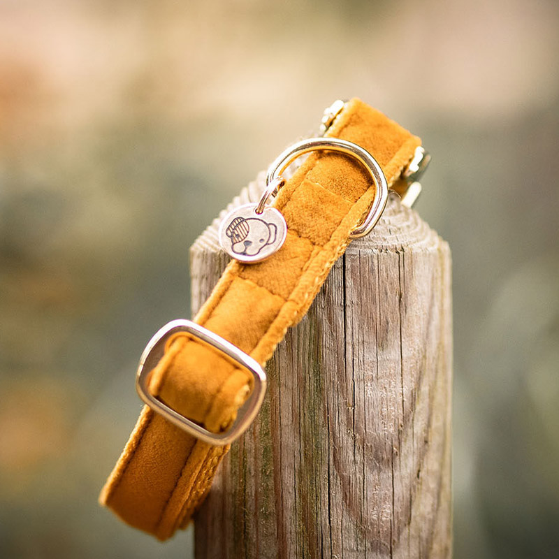 Kentucky Dogwear Velvet Dog Collars 3 Kentucky Dogwear Velvet Dog Collars - Image 3