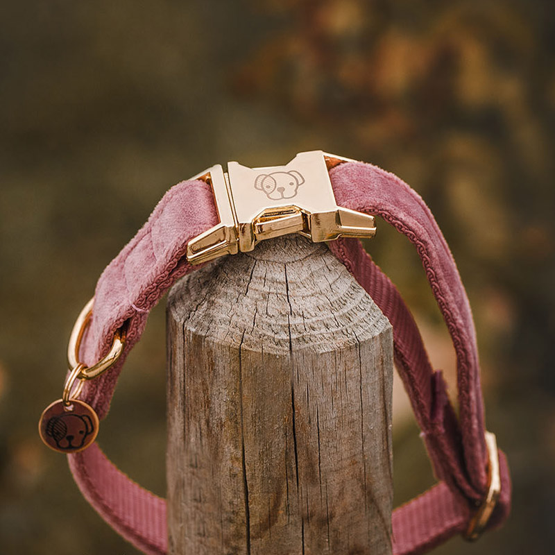 Kentucky Dogwear Velvet Dog Collars 4 Kentucky Dogwear Velvet Dog Collars - Image 4