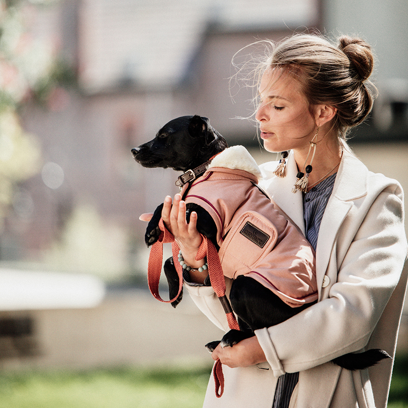 Kentucky Dogwear Waterproof Dog Coat 160g 3 Kentucky Dogwear Waterproof Dog Coat 160g - Image 3