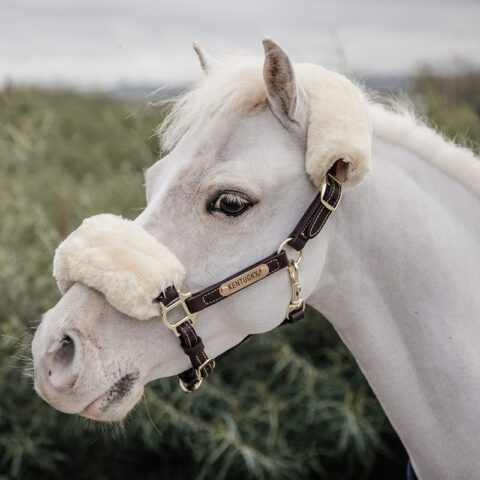 Kentucky Horsewear Leather Halter Sheepskin