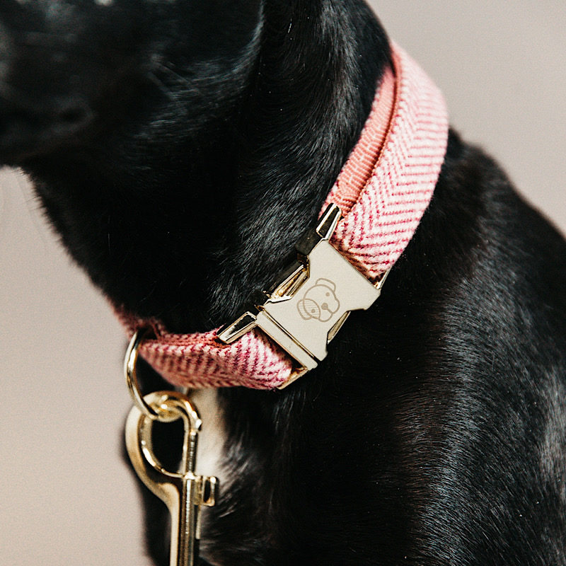 Kentucky Dogwear Dog Collar Wool - Image 3