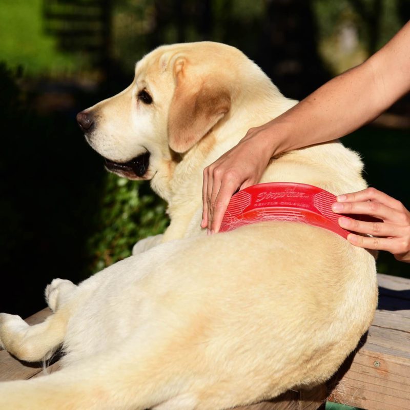 StripHair Gentle Groomer Pets - Image 3