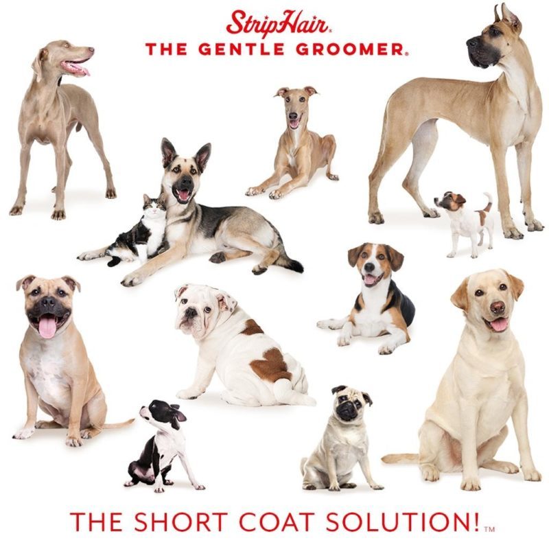 StripHair Gentle Groomer Pets - Image 7