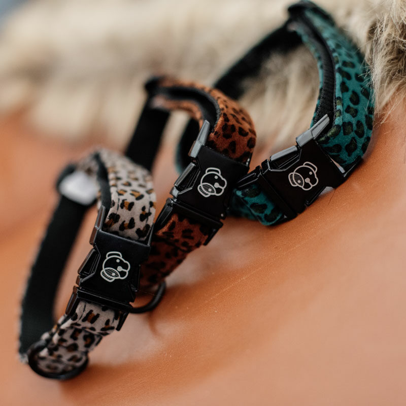 Kentucky Dogwear Leopard Print Dog Collar - Image 4