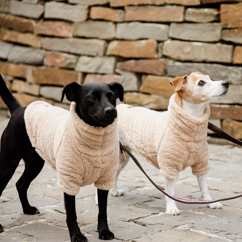 Kentucky Dogwear Teddy Fleece Dog Coat 3 Kentucky Dogwear Teddy Fleece Dog Coat - Image 3