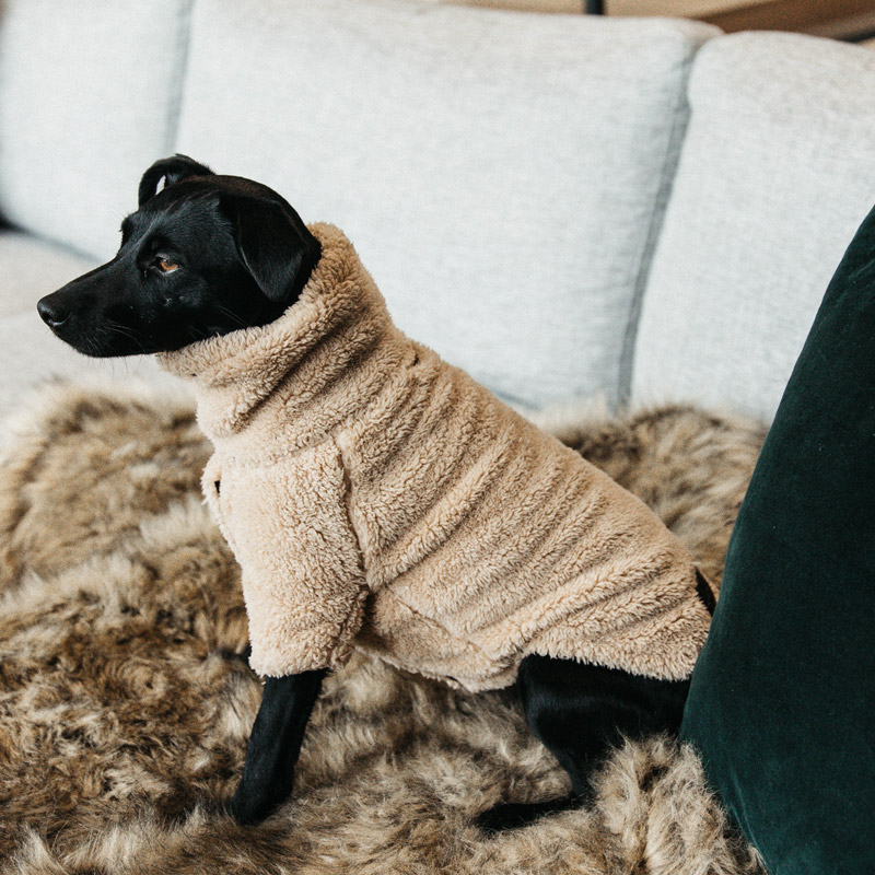 Kentucky Dogwear Teddy Fleece Dog Coat 5 Kentucky Dogwear Teddy Fleece Dog Coat - Image 5