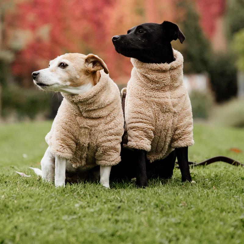 Kentucky Dogwear Teddy Fleece Dog Coat 1 Kentucky Dogwear Teddy Fleece - Beige