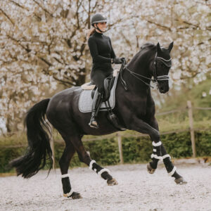 Saddle Pad Pied-de-Poule Dressage Horse