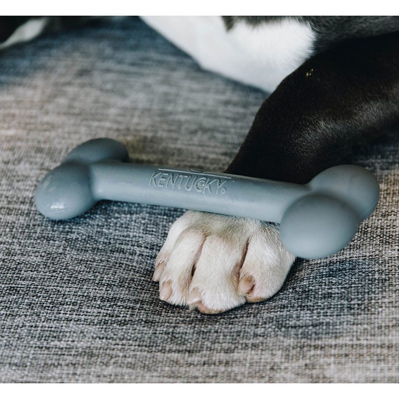Kentucky Dogwear Dog Toy Silicone Bone - Image 5