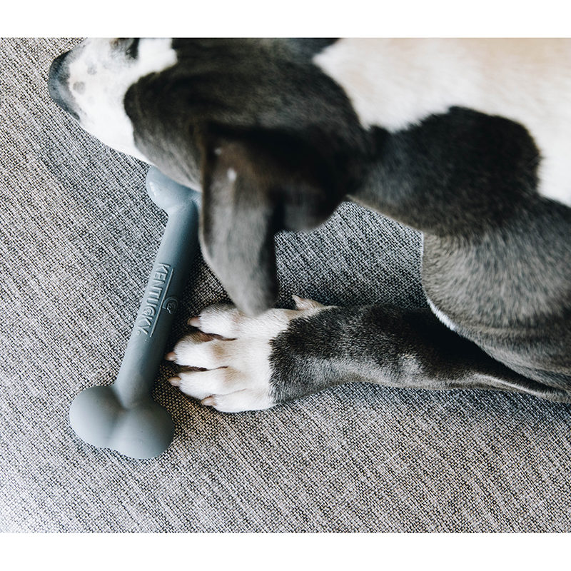 Kentucky Dogwear Dog Toy Silicone Bone - Image 4