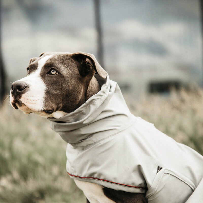 Kentucky Dogwear Dog Rain Coat - Image 3