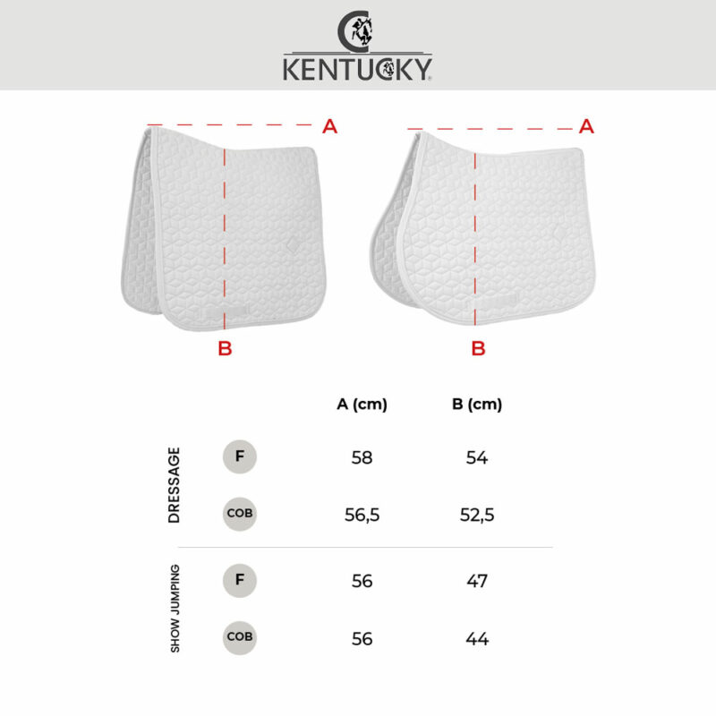 Saddle Pad Fishbone Competition with 2 Numbers Jumping - Image 7