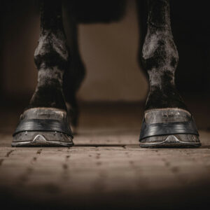 Rubber Hoof bands
