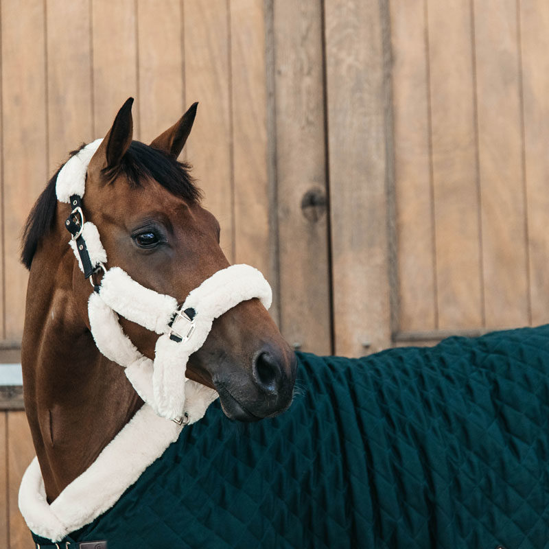 Kentucky Horsewear Show Rug - Pine Green 1