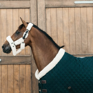 Kentucky Horsewear Show Rug - Pine Green