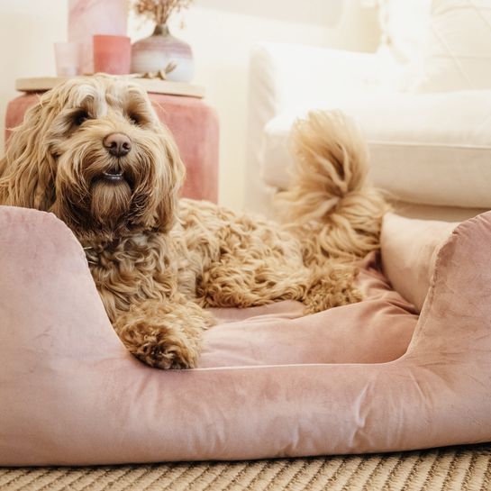 Kentucky Dogwear Velvet Dog Bed 3 Kentucky Dogwear Velvet Dog Bed - Image 3