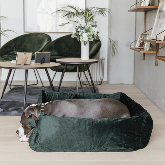 Kentucky Dogwear Velvet Dog Bed 1 Velvet Dog Bed Pine Green