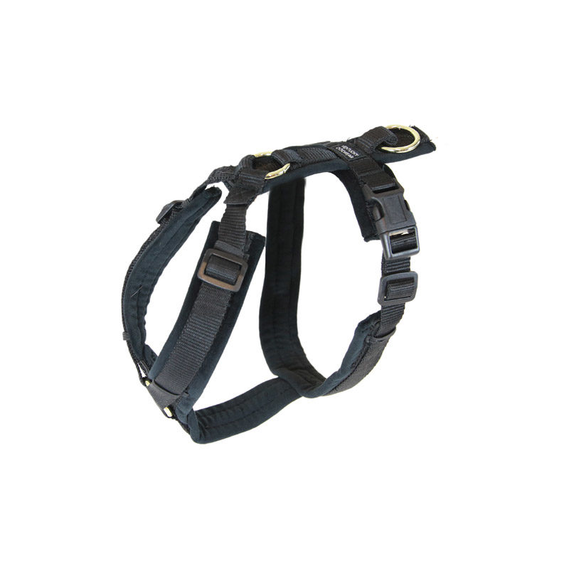 Kentucky Dogwear Active Dog Harness Velvet - Image 13