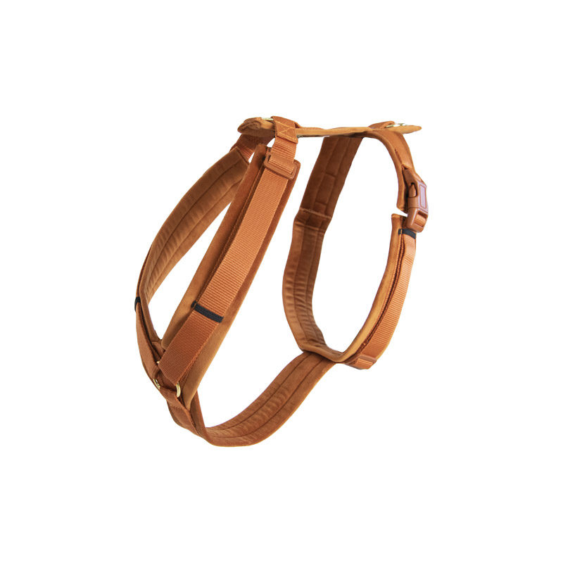 Kentucky Dogwear Active Dog Harness Velvet - Image 15