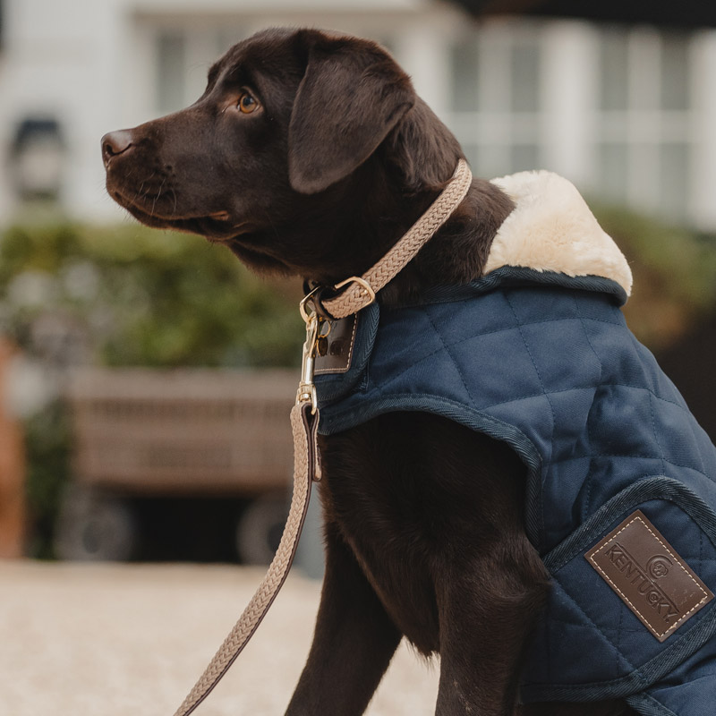 Kentucky Dogwear Plaited Dog Collar 10 Kentucky Dogwear Plaited Dog Collar - Beige