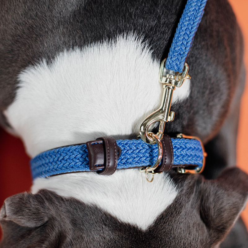 Kentucky Dogwear Plaited Dog Collar 6 Kentucky Dogwear Plaited Dog Collar - Image 6